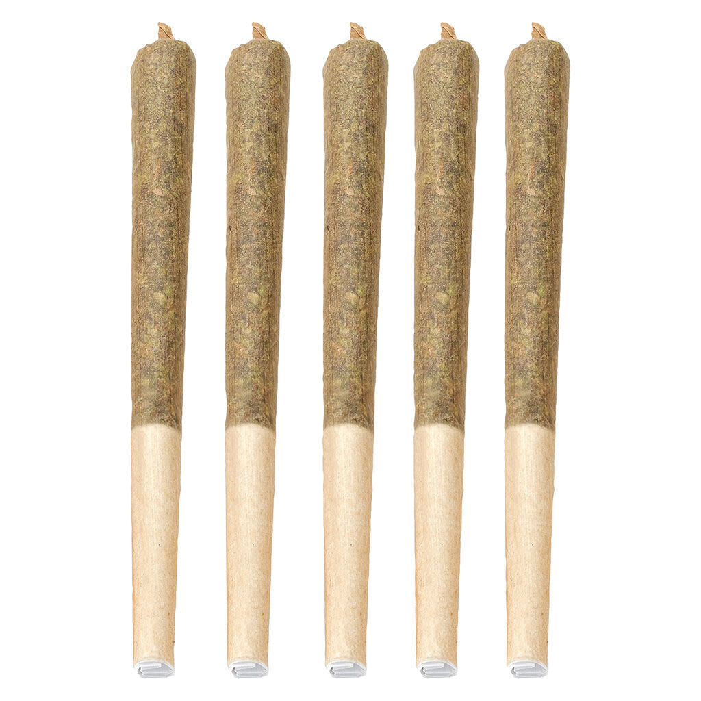 Obi Star Pre-Roll