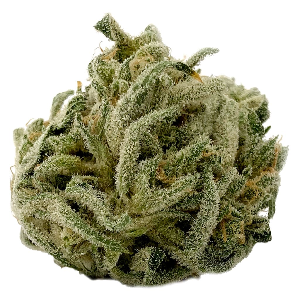 MTL CANNABIS Cookies N' Cream