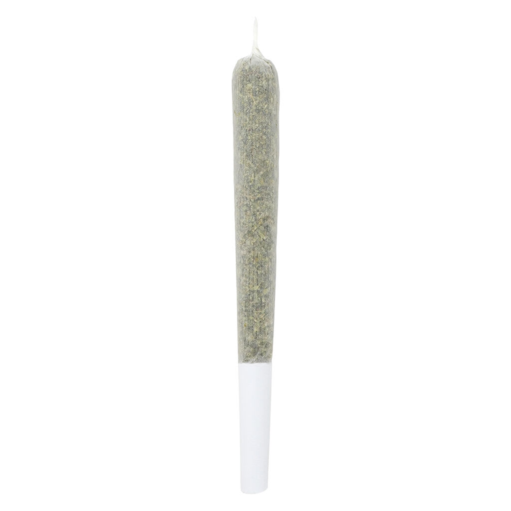 CROOKED DORY Kush Cake Shatter Infused Pre-Roll