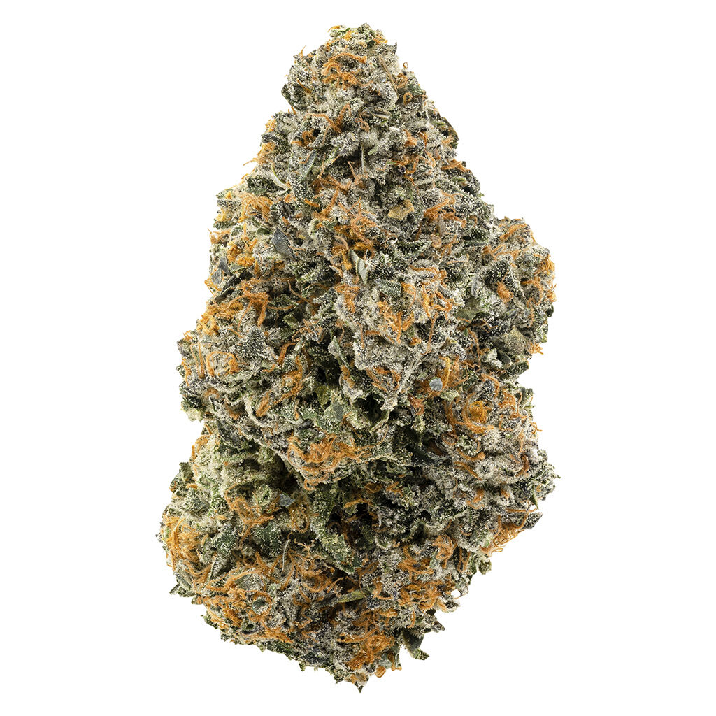 1964 Organic Gelato #41