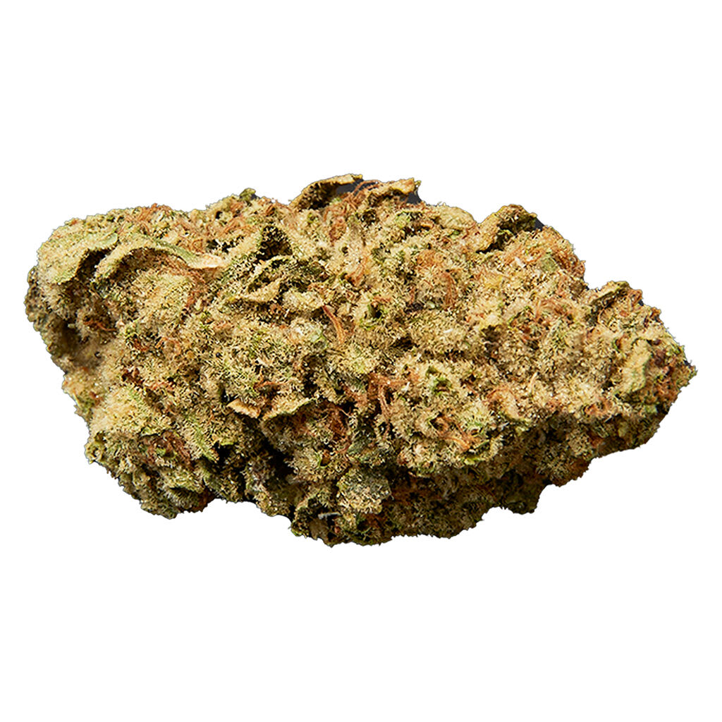 Qwest Duct Tape 3.5g Dried Flower