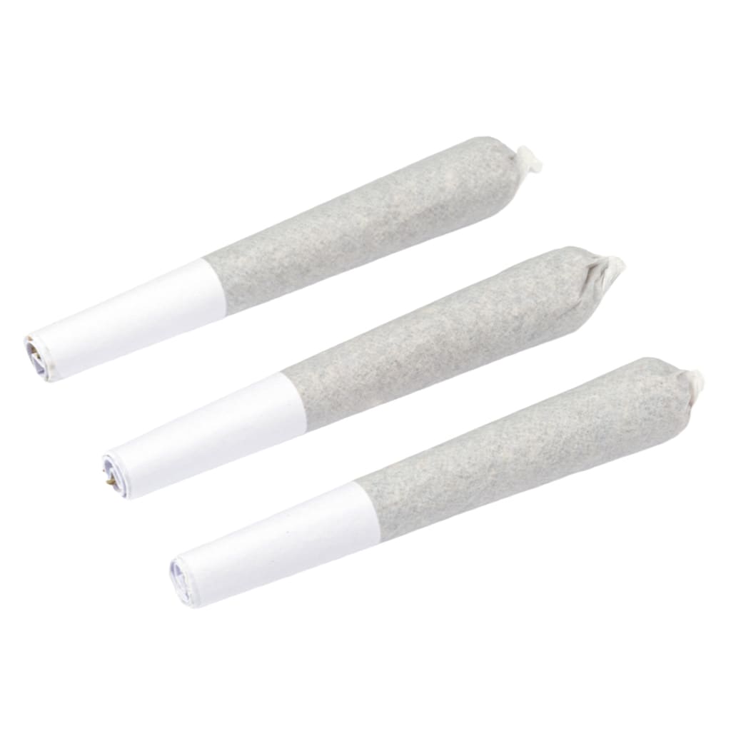 NATURAL HISTORY Tally Man Pre-Roll