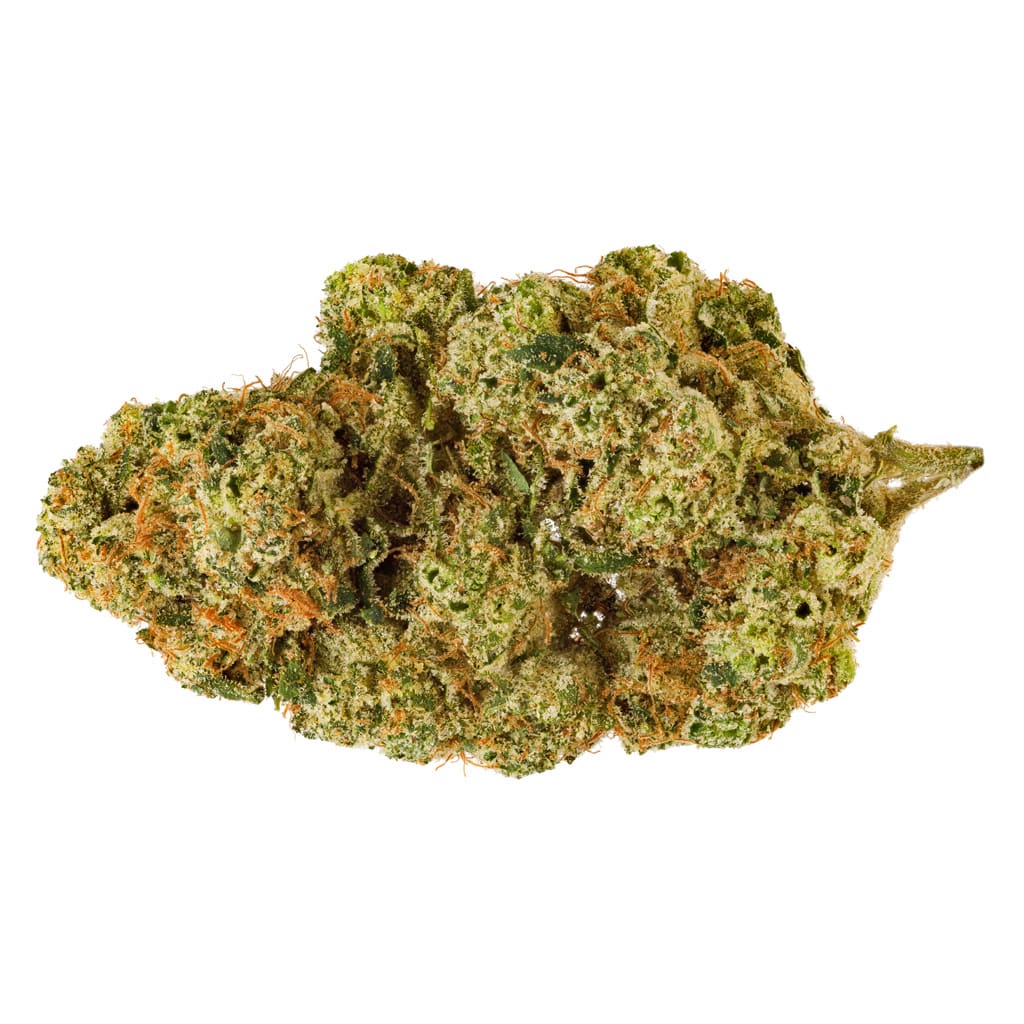 SAN RAFAEL '71 Electric Honeydew