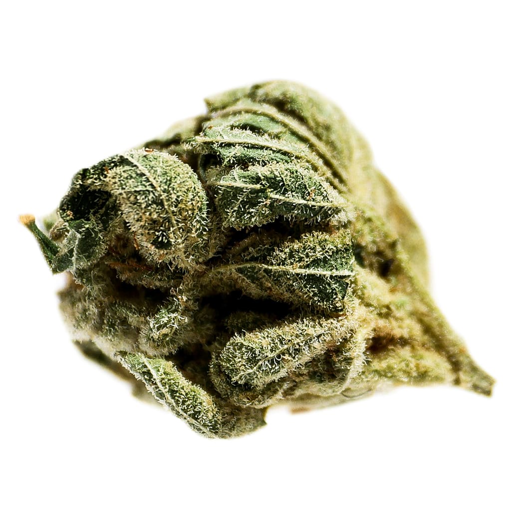 Potluck Frosted Cherry 7g Dried Flower