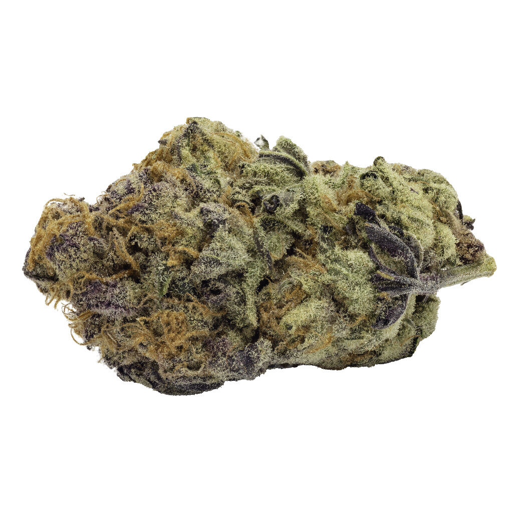 FIGR Go Steady Black Cherry Punch