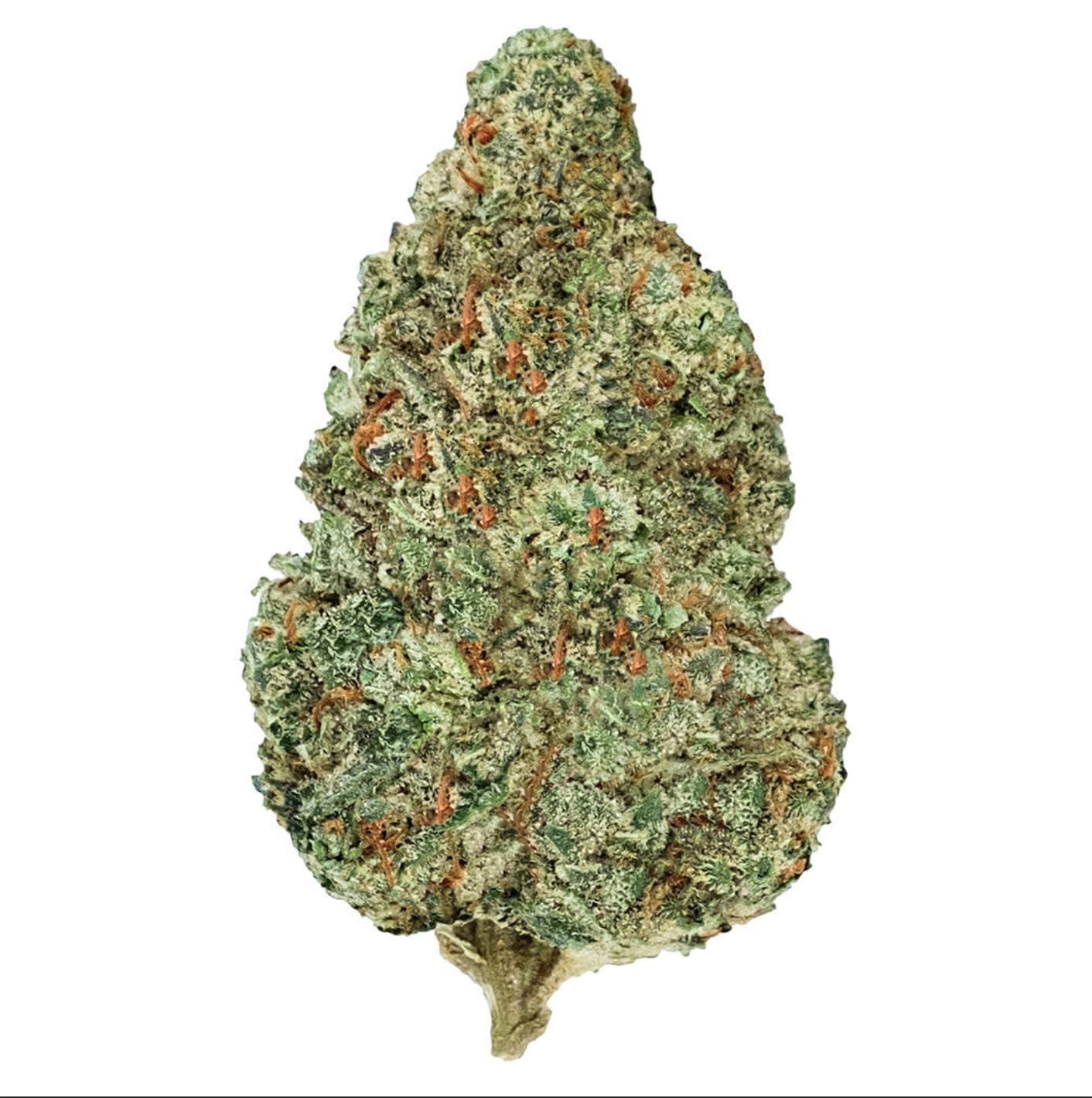 Back Forty Chemzilla 14g Dried Flower