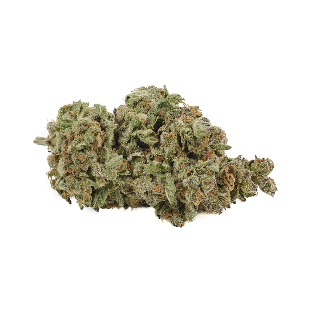 BACK FORTY Apple Fritter