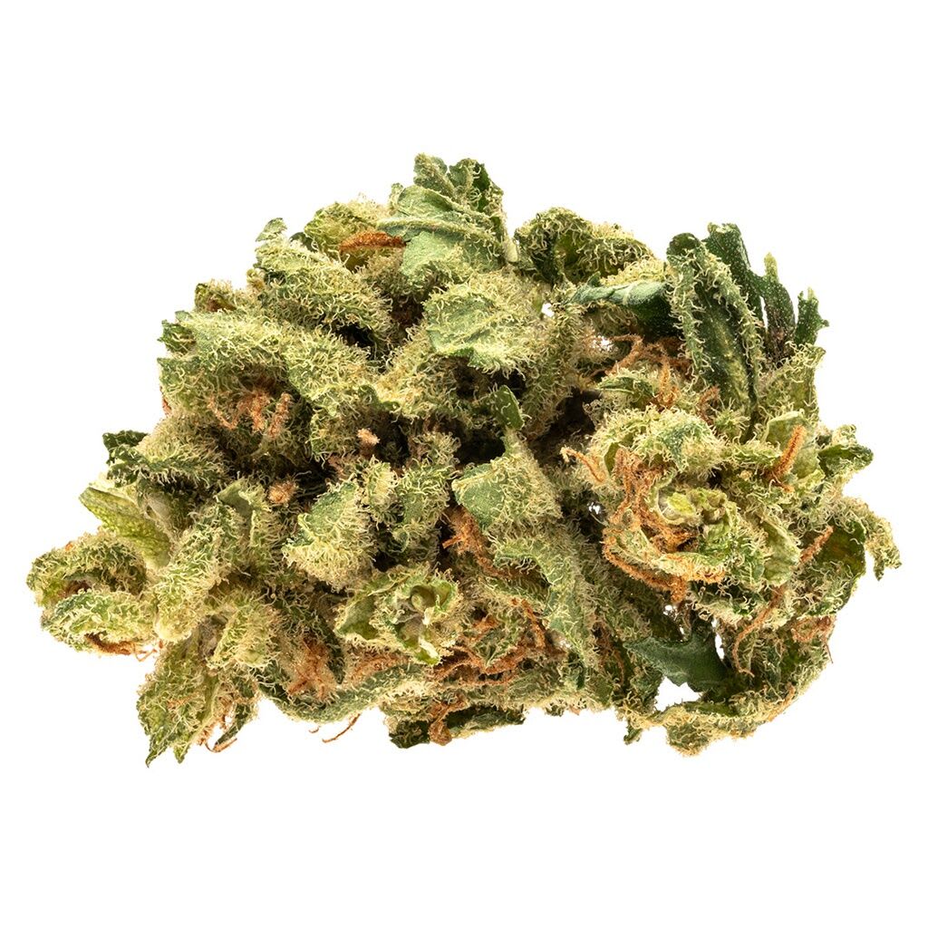 GOOD SUPPLY Starwalker Kush