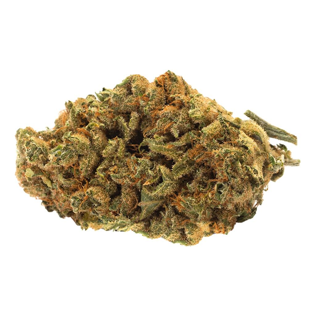 Indica Bud