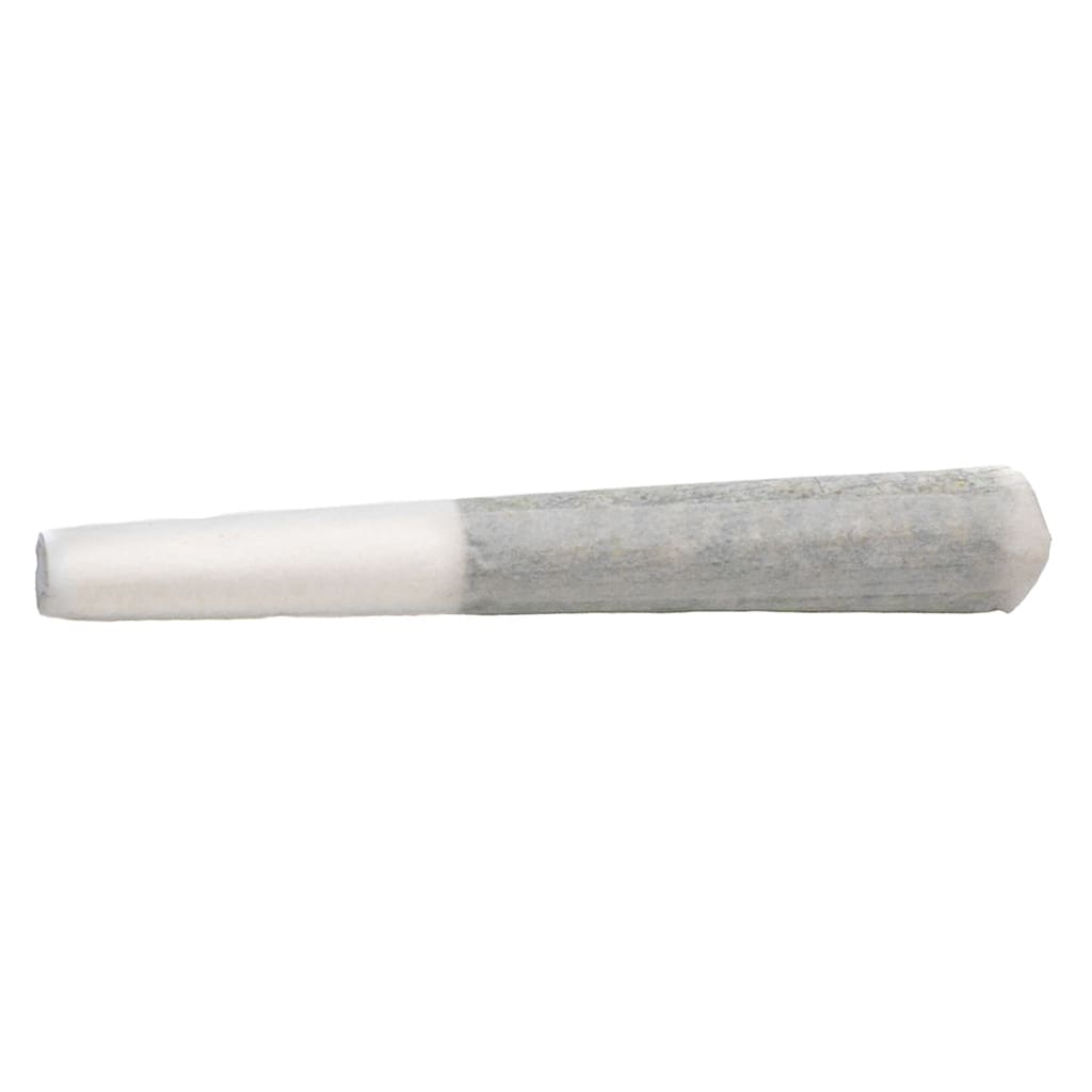 BOLD GROWTH Root Beer Float Pre-Roll