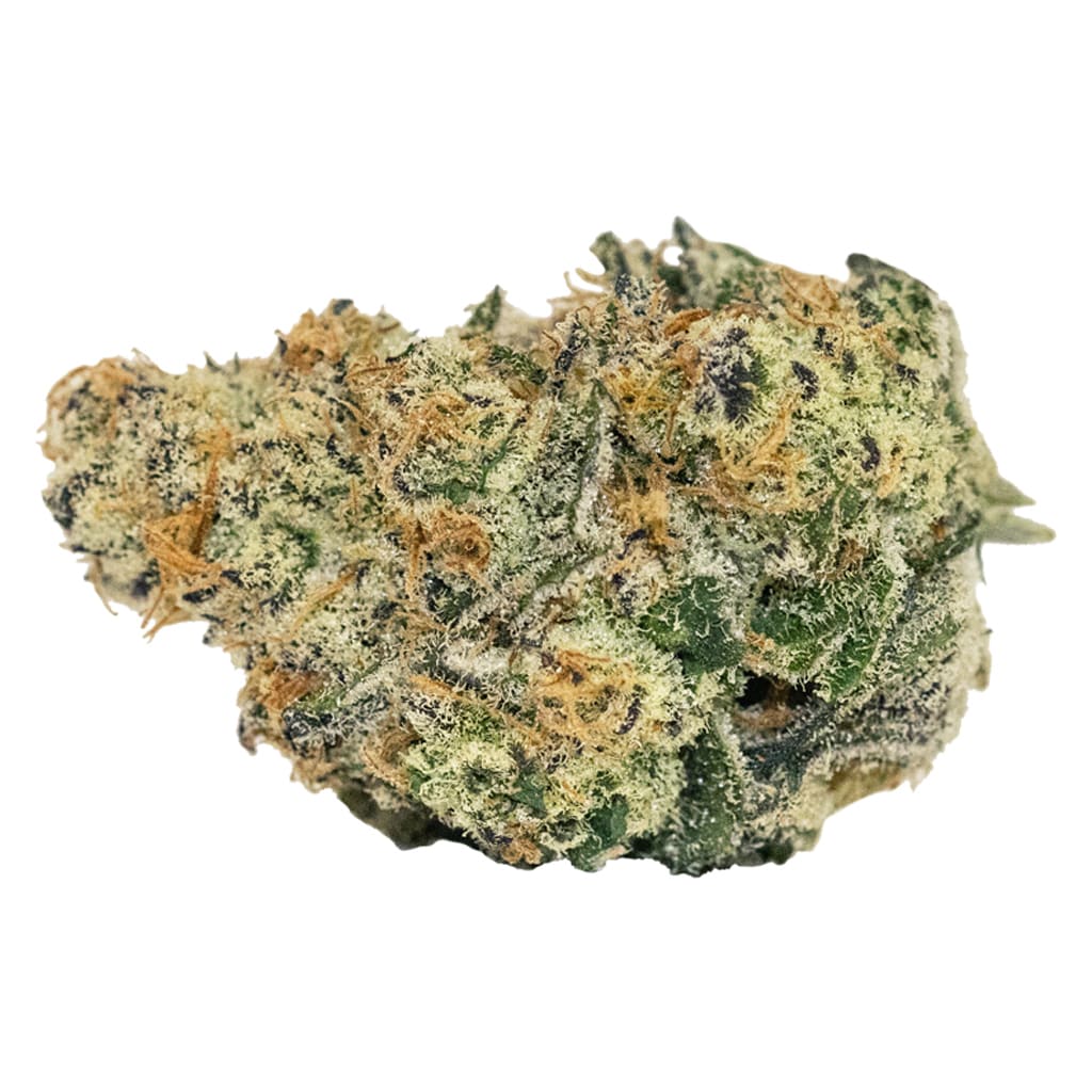 CARMEL Drew's Pheno