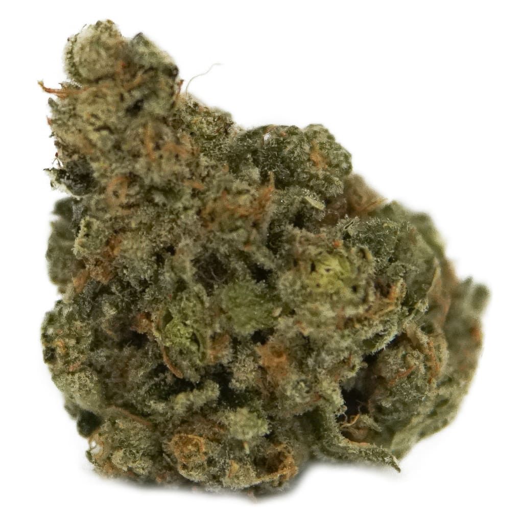 THE LOUD PLUG Exotic Gas