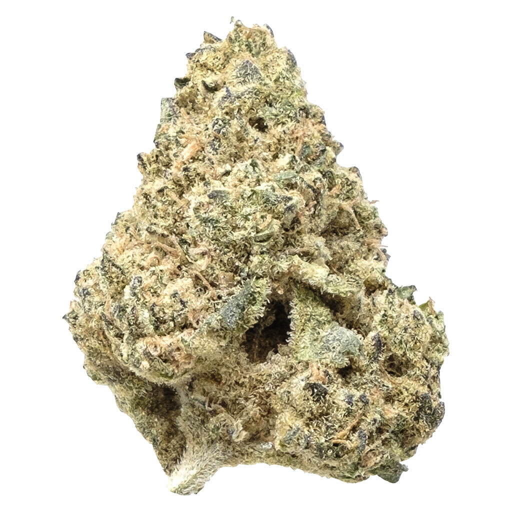 SNICKLEFRITZ Indica