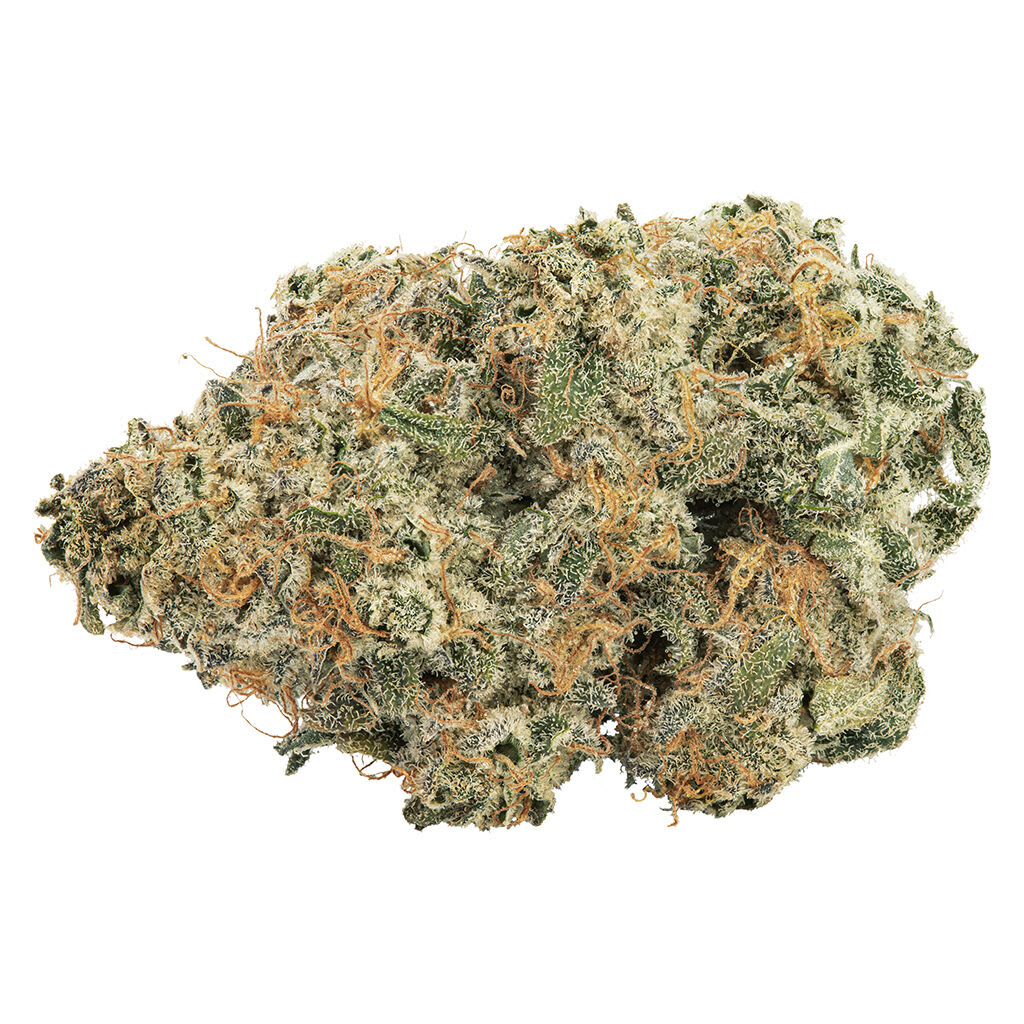 Purple Punch-Out!! - Image 2