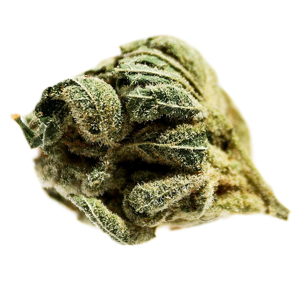 Potluck Pineapple Express 7g Dried Flower