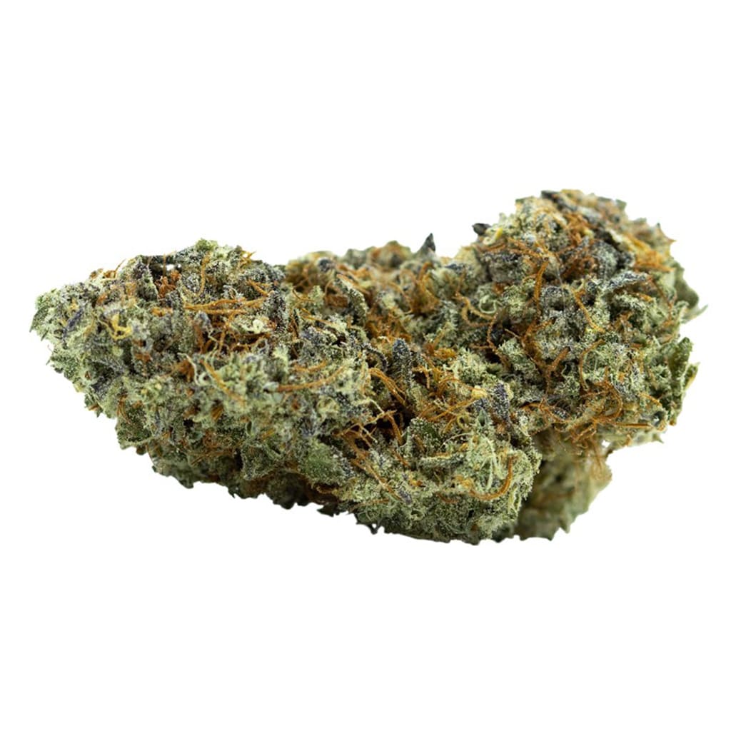 NO DISCOUNT - Billy's Pheno (Bernscotti)