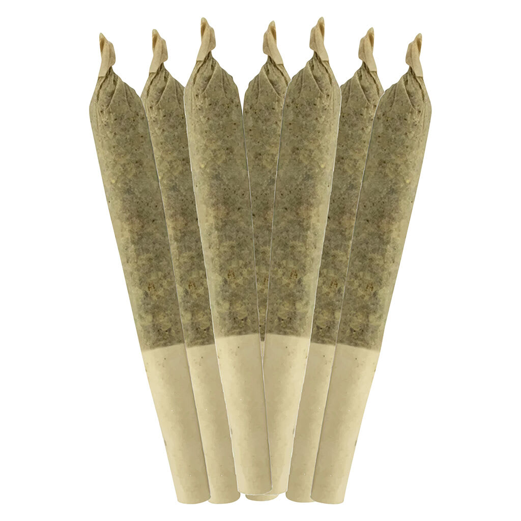 SHEEESH! Dia De Los Muertos Pre-Roll - Image 2