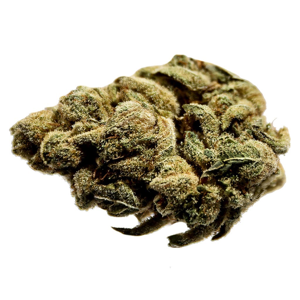 STATION HOUSE OG Kush