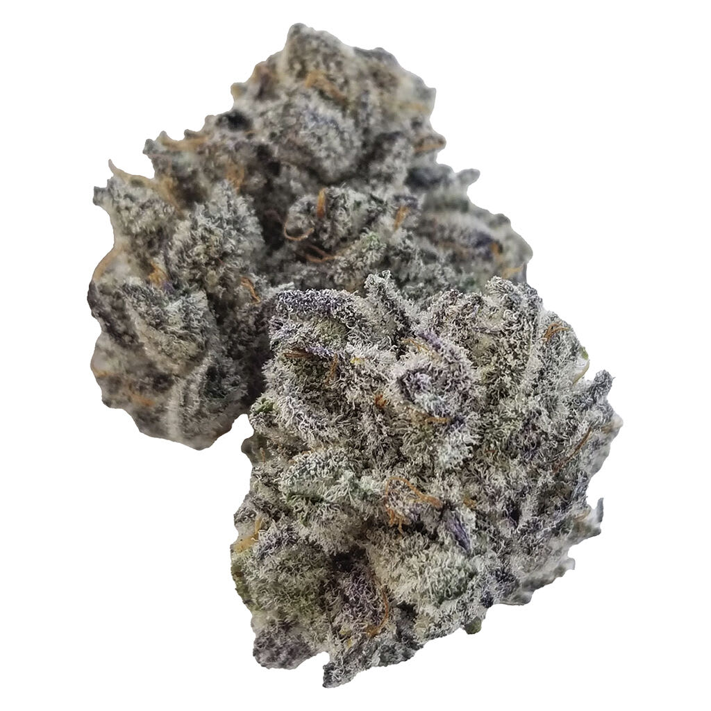 SHEEESH! Jungle Kush