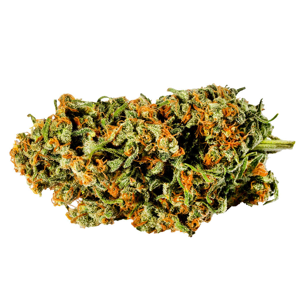 REDECAN Warlock