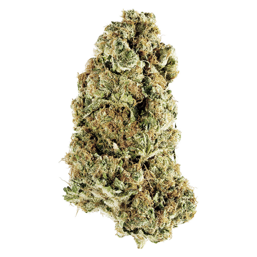 Redecan Animal Rntz Dried Flower - Image 2