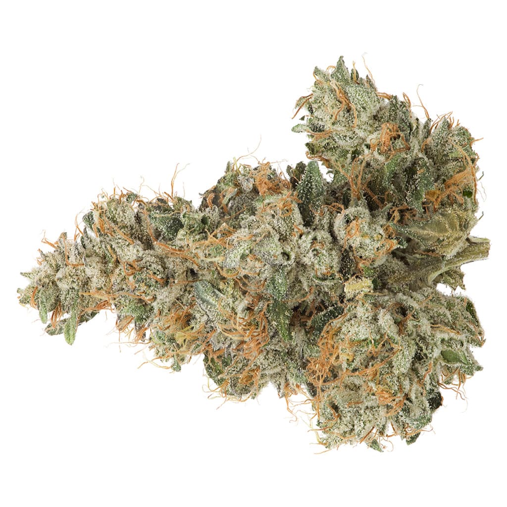 COAST MOUNTAIN CANNABIS BC Organic Pemberton Pink