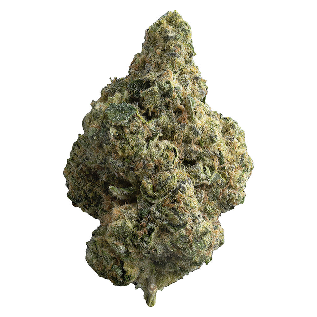 Reserve 25 Plus