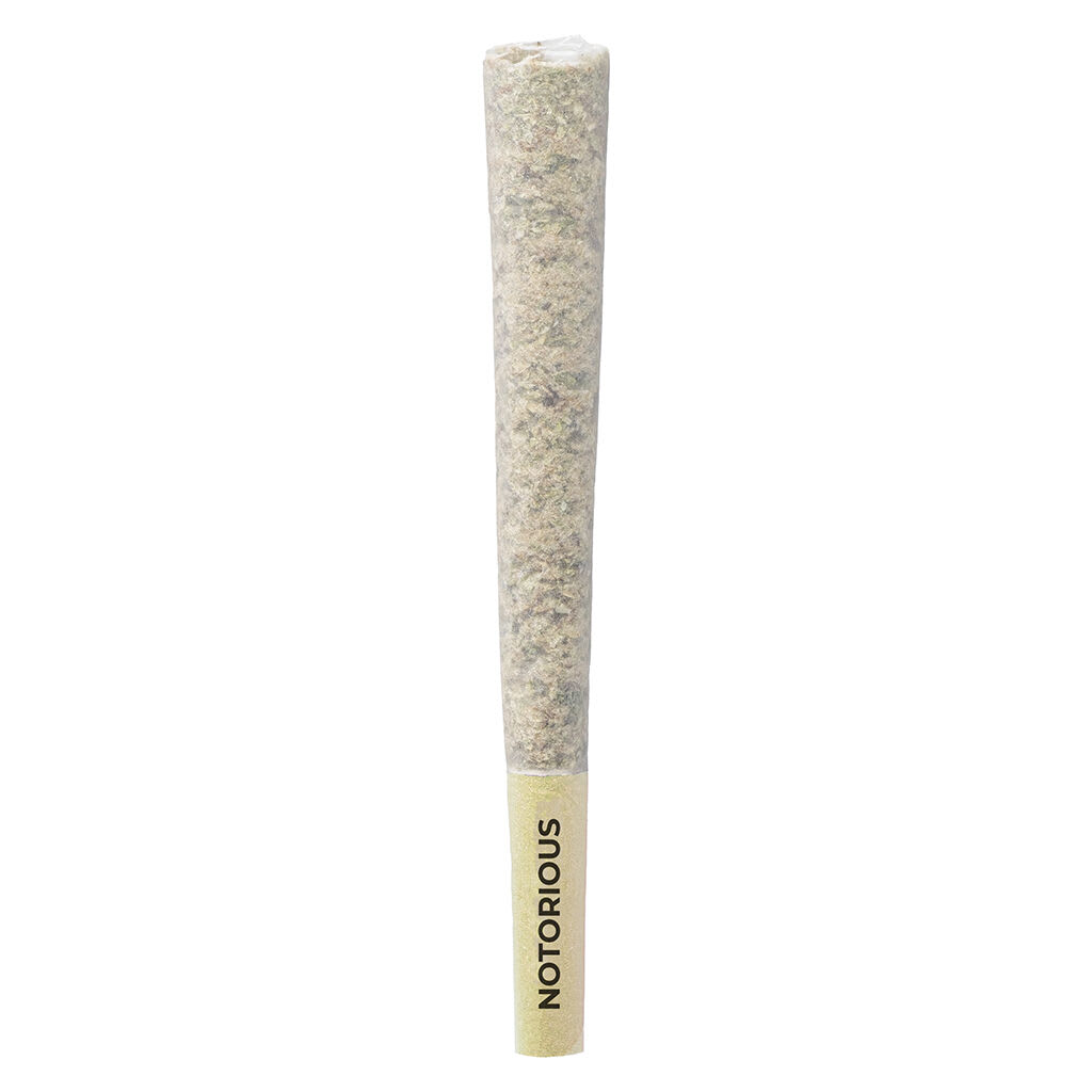 PISTOL AND PARIS Notorious Pre-Roll