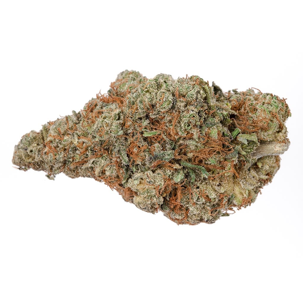 HIGHLY DUTCH ORGANIC Rotterdam Indica