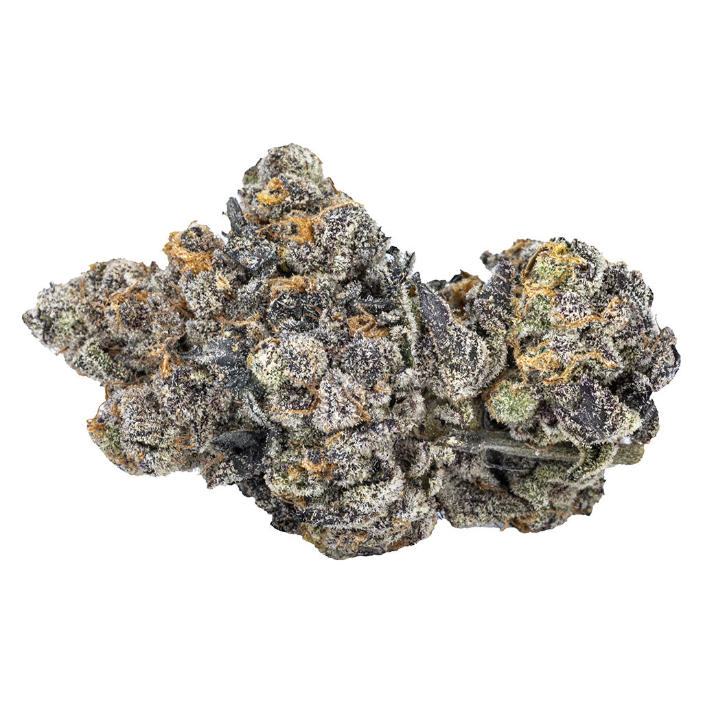 Sixty Seven Sins Gas Face Dried Flower