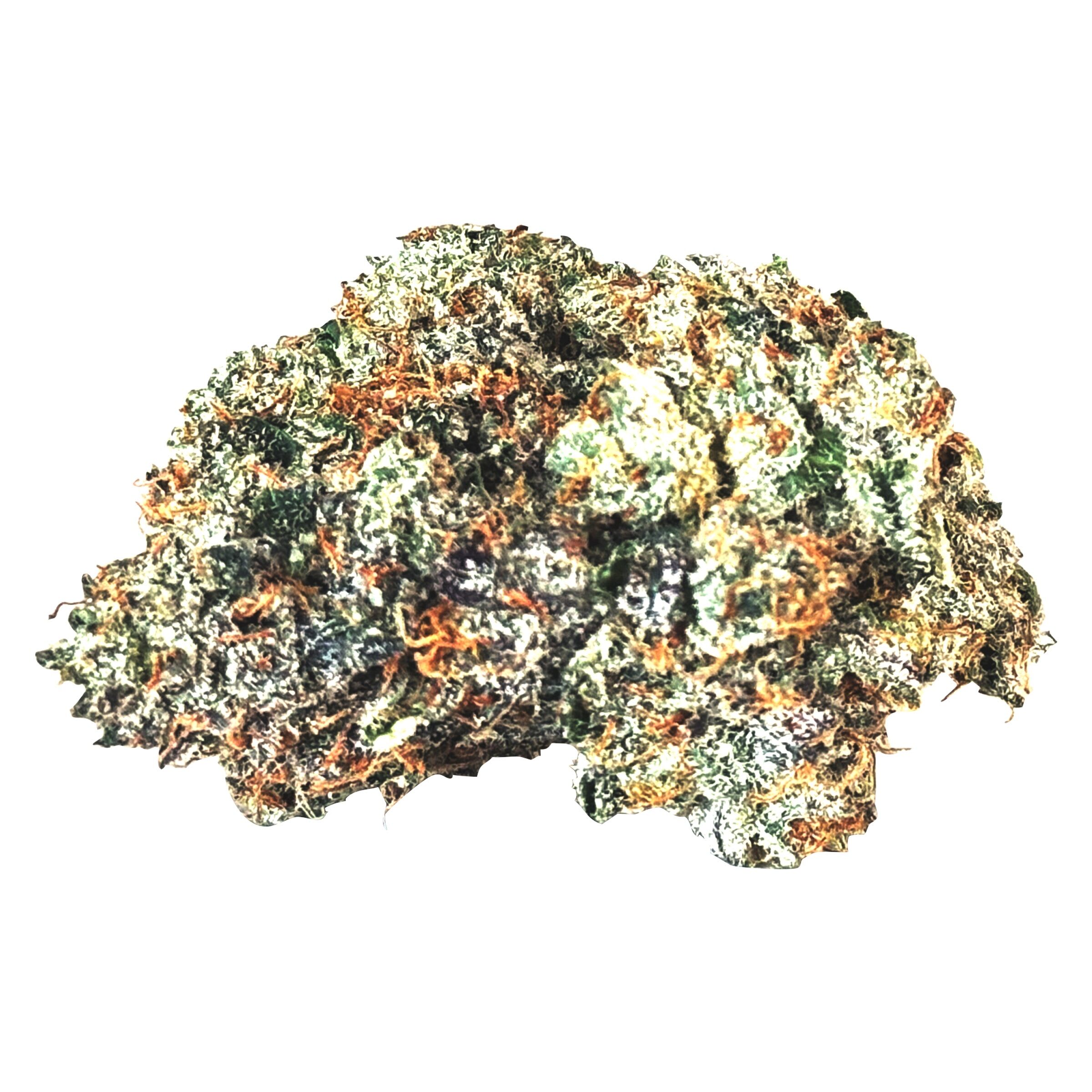 MTL Gas N' Up 3.5g Dried Flower