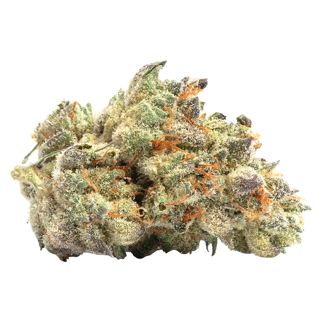 LAHOJA Purple Haze