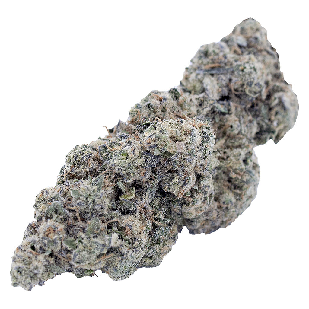 JANNY'S FLOWER Quad Fire Sativa