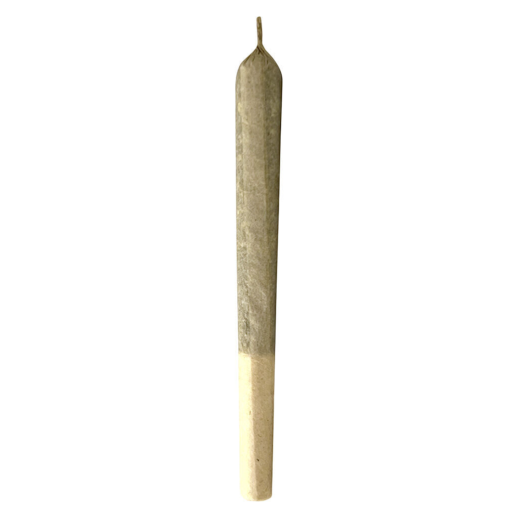 MTL CANNABIS Jungl' Cake Pre-Roll - Image 2