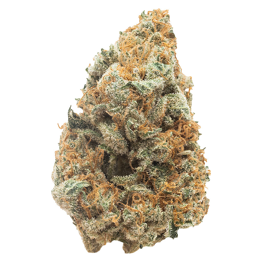 OGEN PHENOHUNT Indoor Craft Grown Sativa