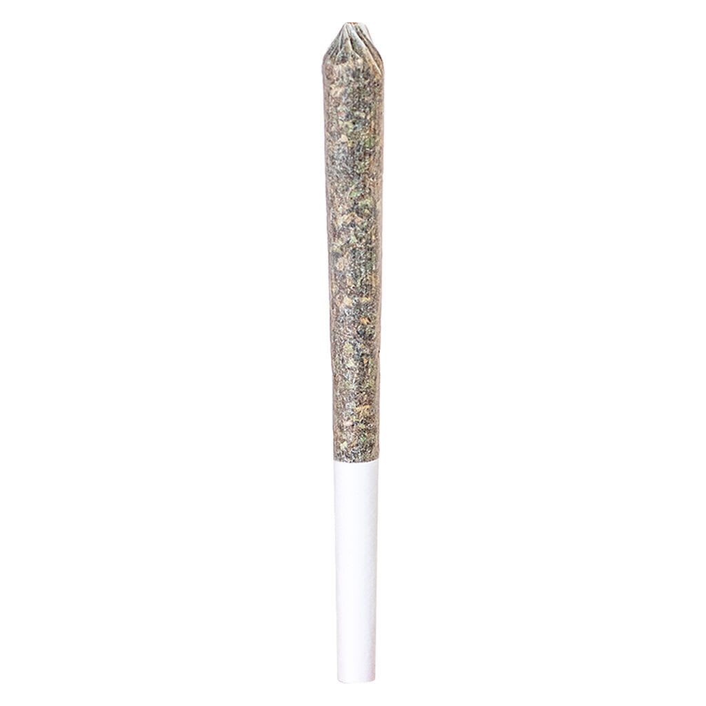 NO DISCOUNT - STATION HOUSE Northern Lights Pre-Roll Single