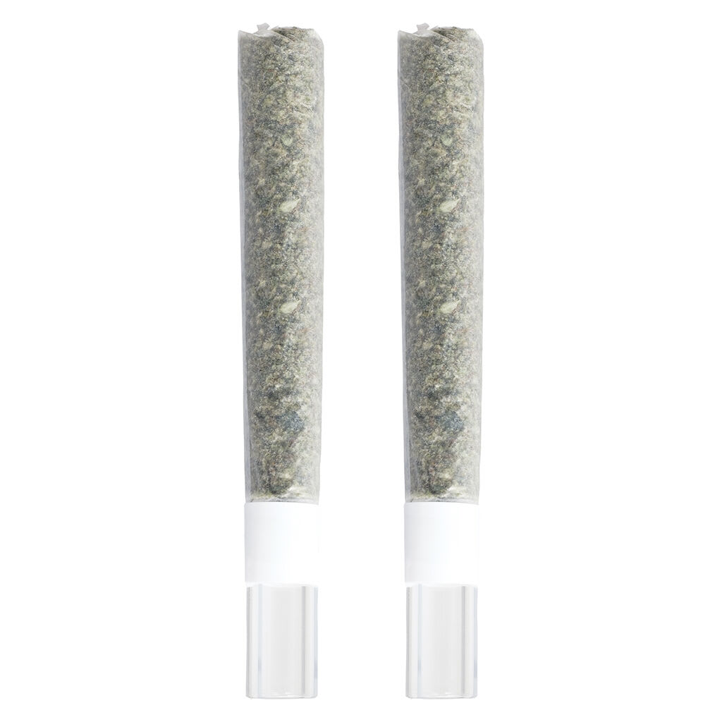 Gold Cash Gold & Pure Michigan Glass Tip Pre-Roll
