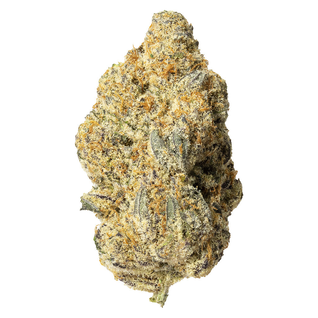 Cultures Chloris Zombie Bride 3.5g Dried Flower