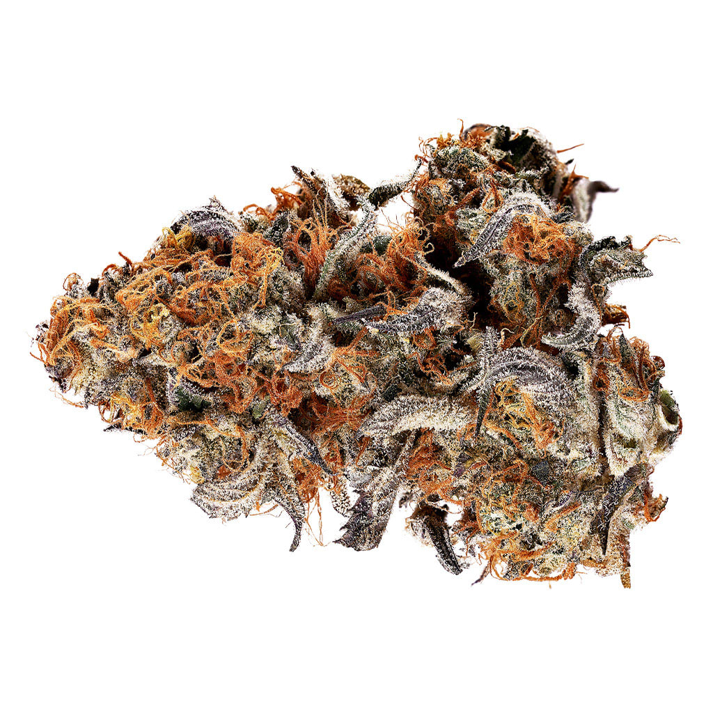 TRIBAL Gelato Mint