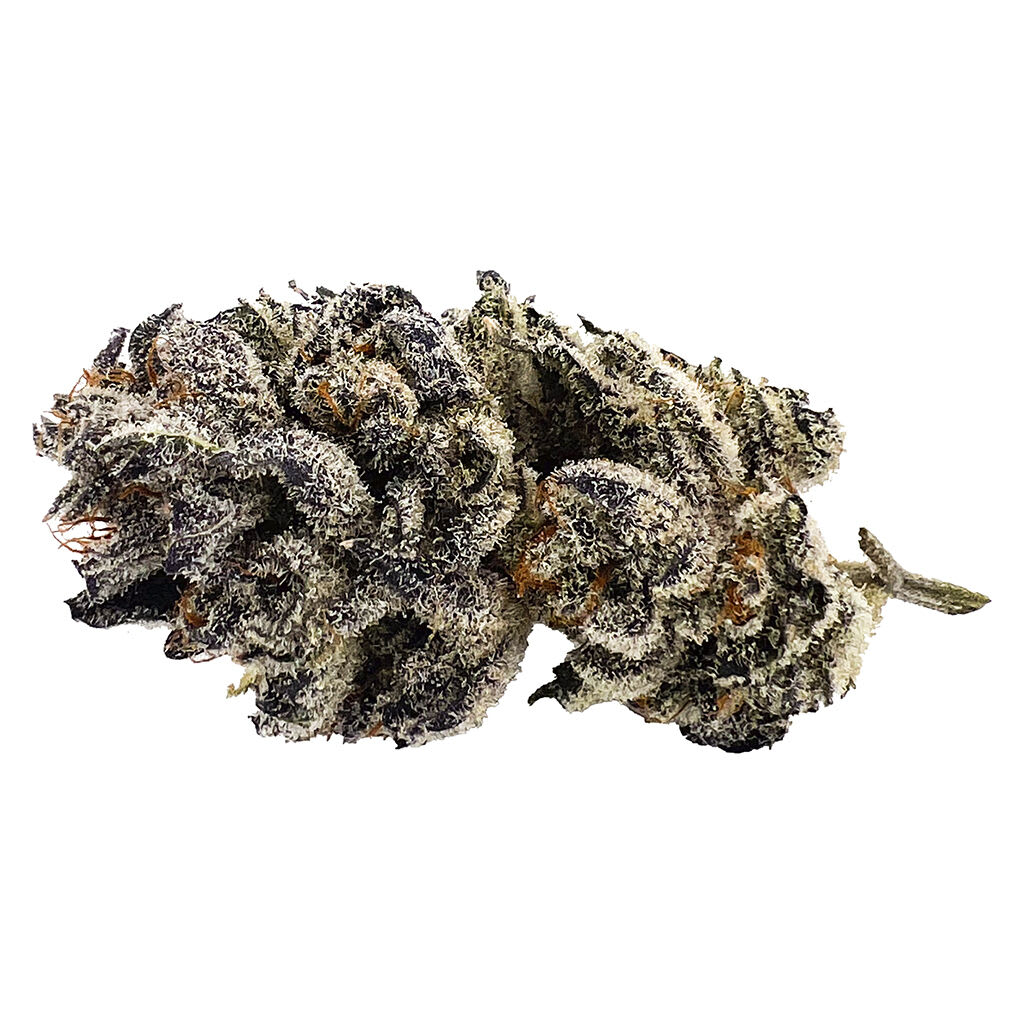 NO DISCOUNT CANNJAH Tectonic Truffle