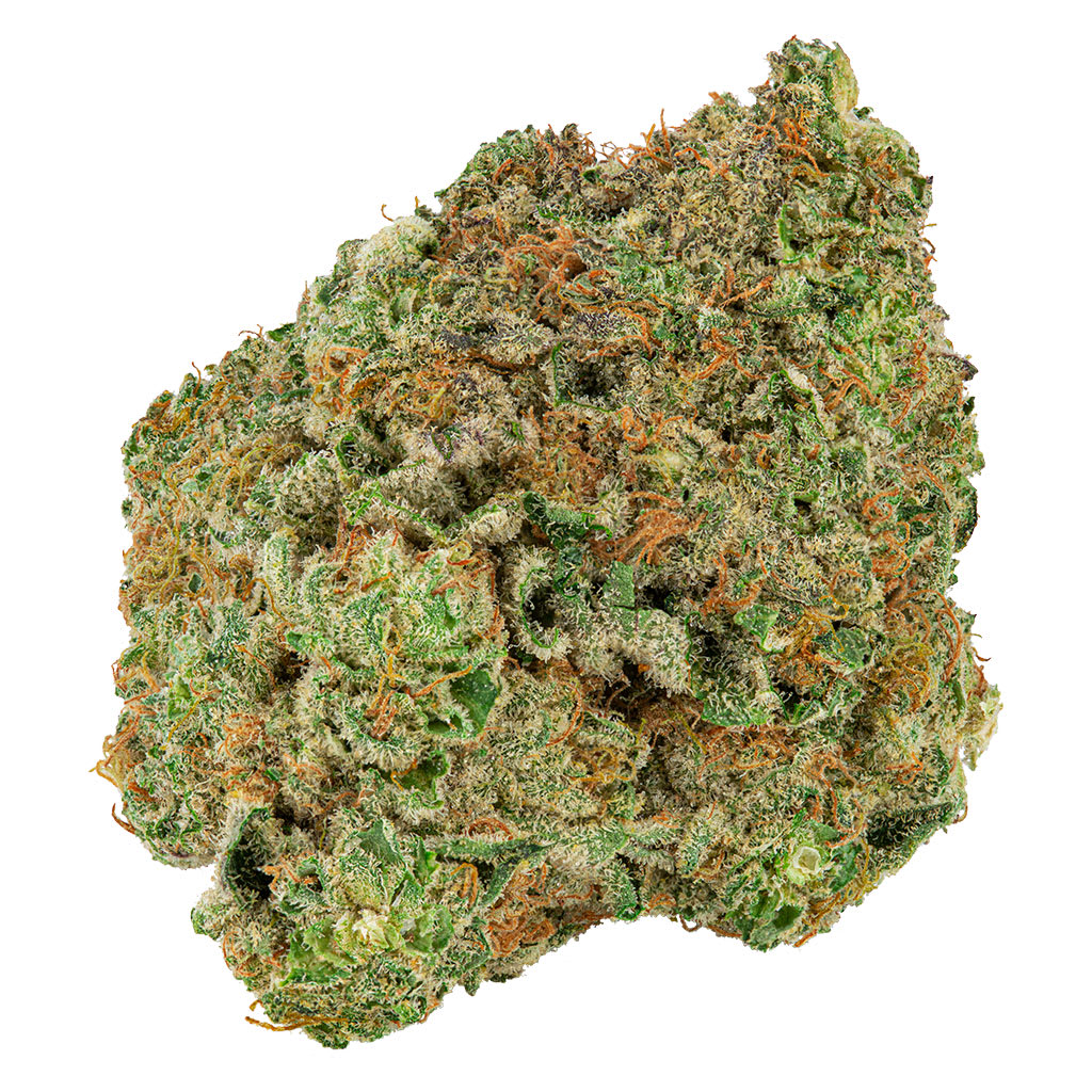 BIG BAG O' BUDS Dough Lato