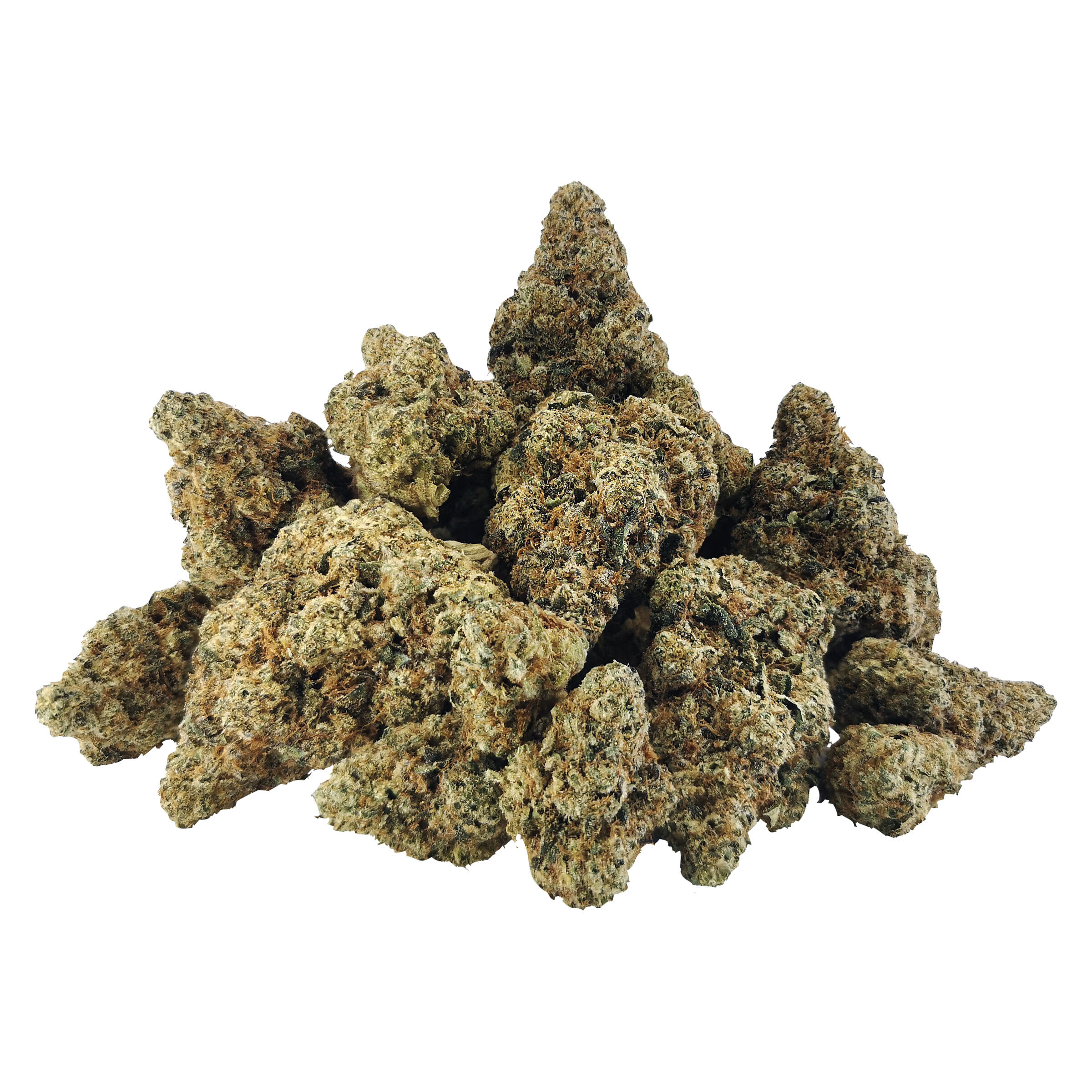 BC OZ Key Lime Gelato Craft Flower