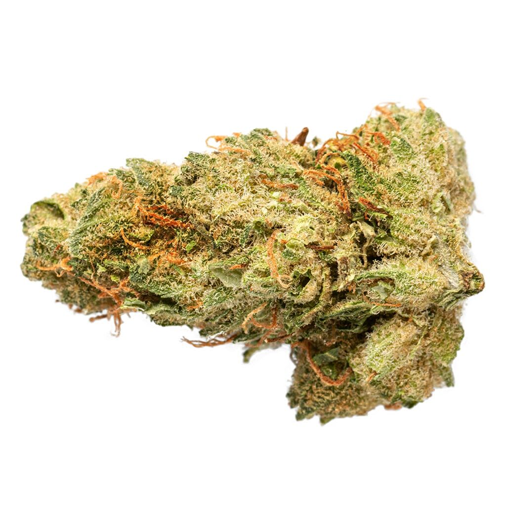 GRASSLANDS Sativa