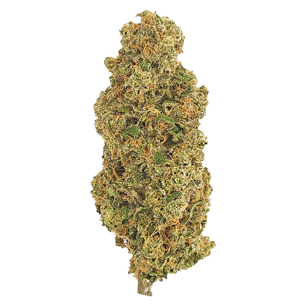 NO DISCOUNT - VICTORIA CANNABIS COMPANY Pomelo Skunk