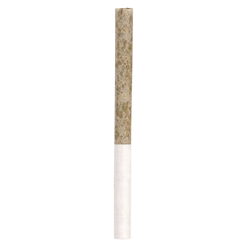 NO DISCOUNT - CROOKED DORY Terp Diamond Infused Pre-Roll