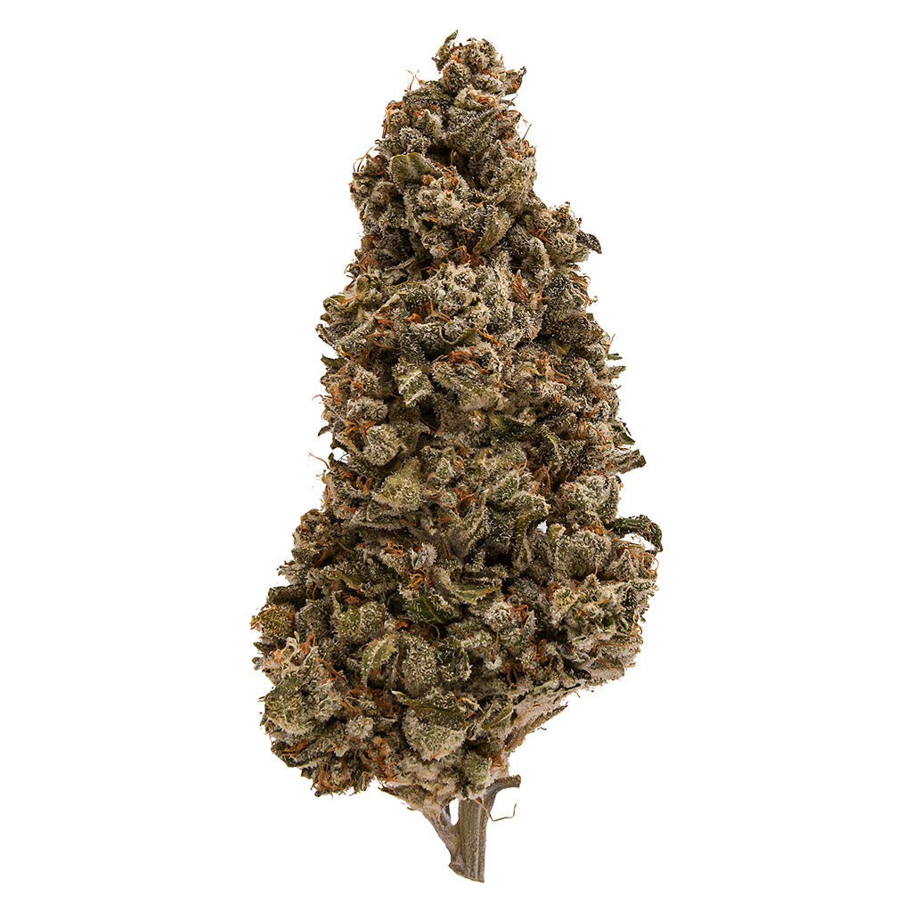 FUGA Strawberry Pave LSO