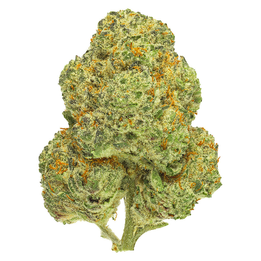San Rafael '71 Chemango Kush 3.5g Dried Flower