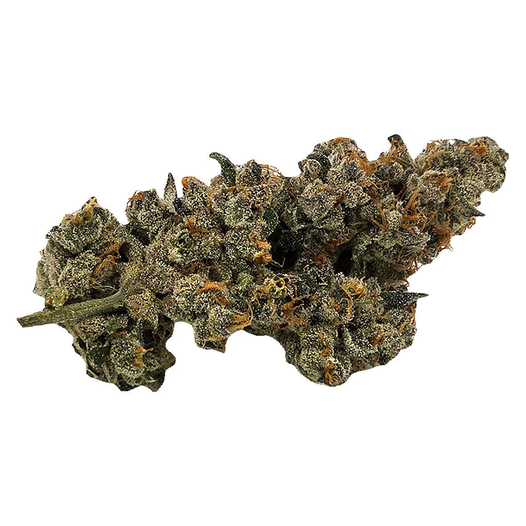 Truro Bluenose Berry 7g Dried Flower