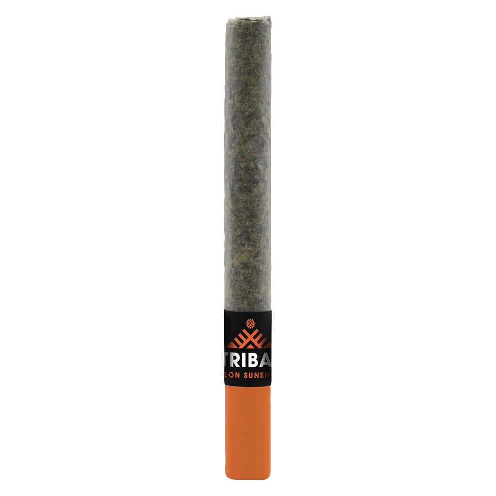 Tribal Neon Sunshine Ceramic Tip 1x1g Pre-Roll