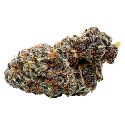 Qwest Georgia Pie 7g Dried Flower